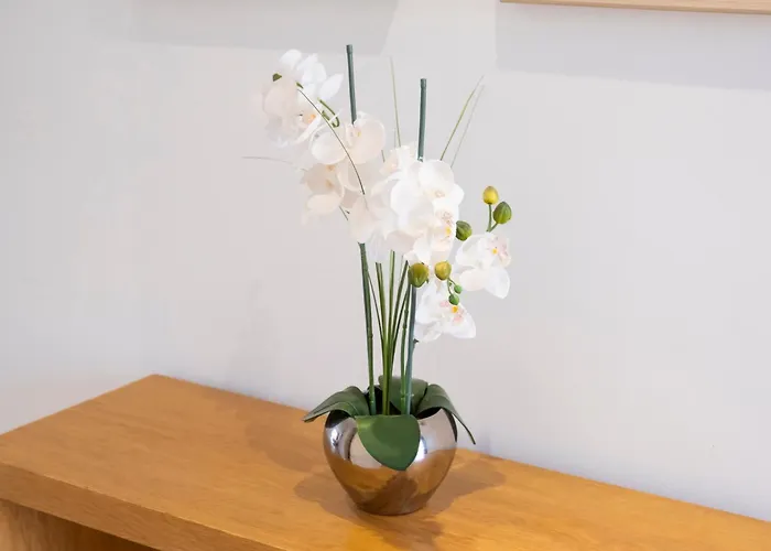 Mandarina 119 * San Miguel de Abona